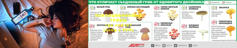 Галлюциногенные грибы GOLDEN TEACHER  Энем 